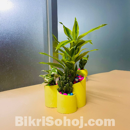 3D pot and plant set